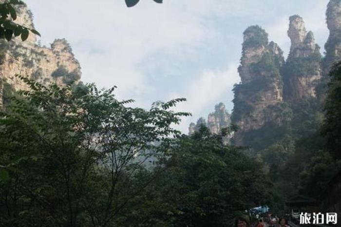 张家界十里画廊景区 张家界十里画廊景区