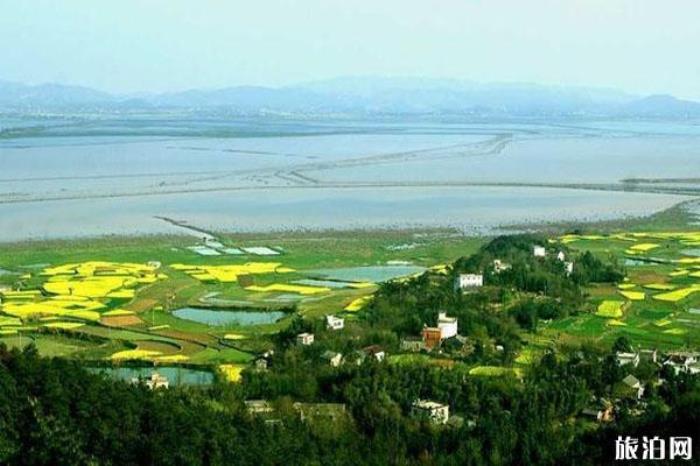 桐城嬉子湖生态旅游区 桐城嬉子湖生态旅游区