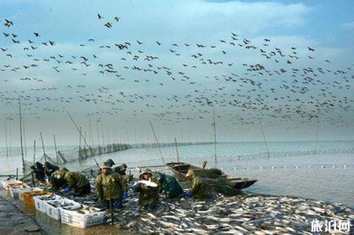 桐城嬉子湖生态旅游区 桐城嬉子湖生态旅游区