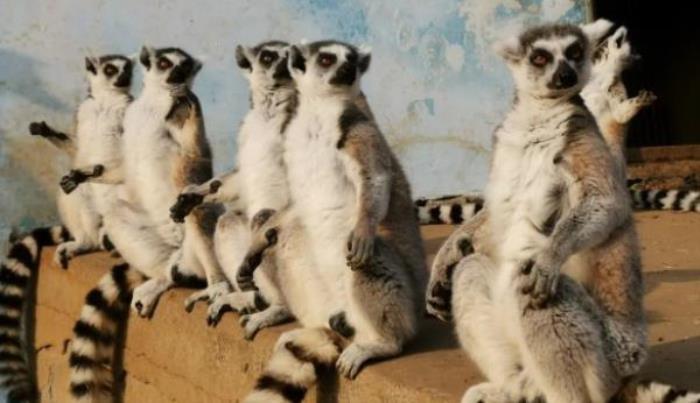 秦皇岛野生动物园 秦皇岛野生动物园