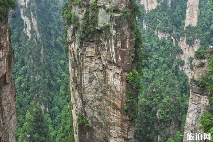 袁家界景区 袁家界景区