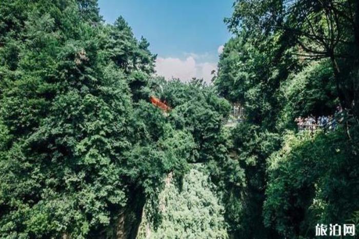 袁家界景区 袁家界景区