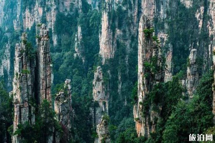 天子山景区 天子山景区