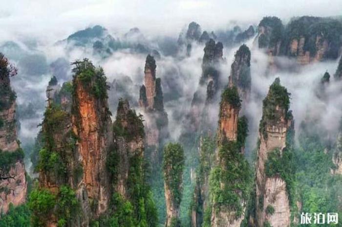 天子山景区 天子山景区