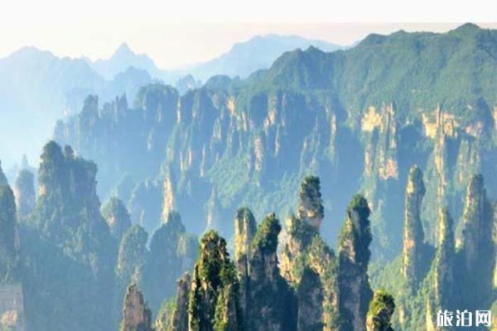 天子山景区 天子山景区