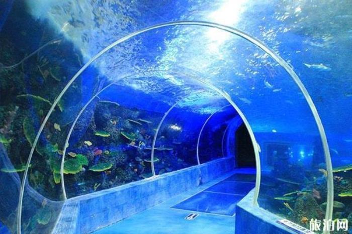 莫尼山泉小镇海洋世界景区介绍 莫尼山泉小镇海洋世界景区介绍