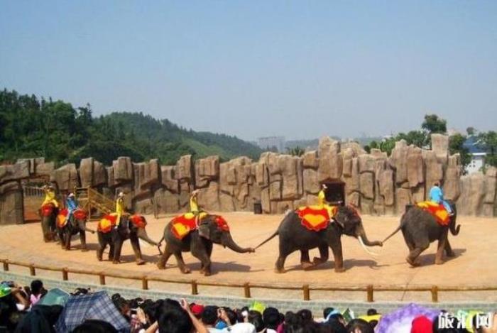 长沙生态动物园 长沙生态动物园