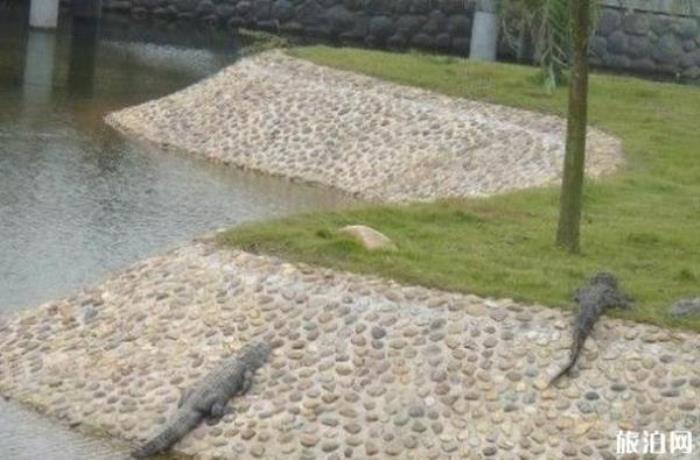 长沙生态动物园 长沙生态动物园