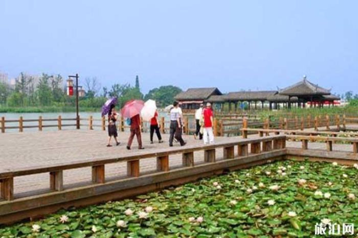 长沙洋湖湿地 长沙洋湖湿地