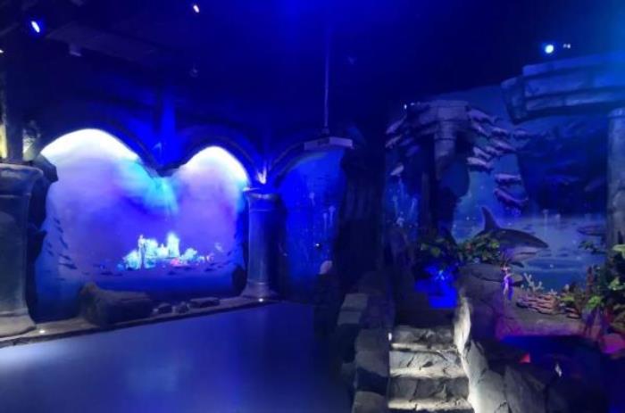 鹏新嘉定海洋世界 鹏新嘉定海洋世界