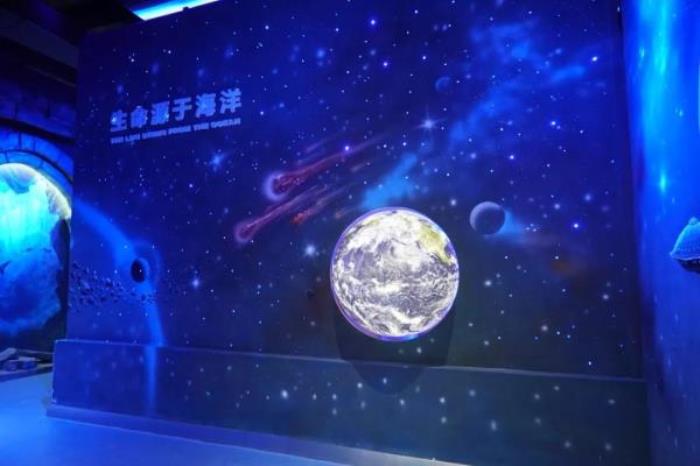 鹏新嘉定海洋世界 鹏新嘉定海洋世界