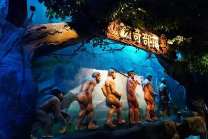 鹏新嘉定海洋世界 鹏新嘉定海洋世界