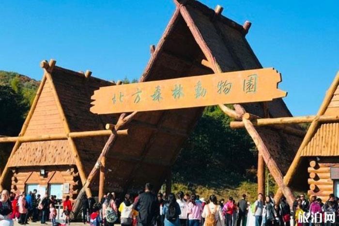 北方森林动物园