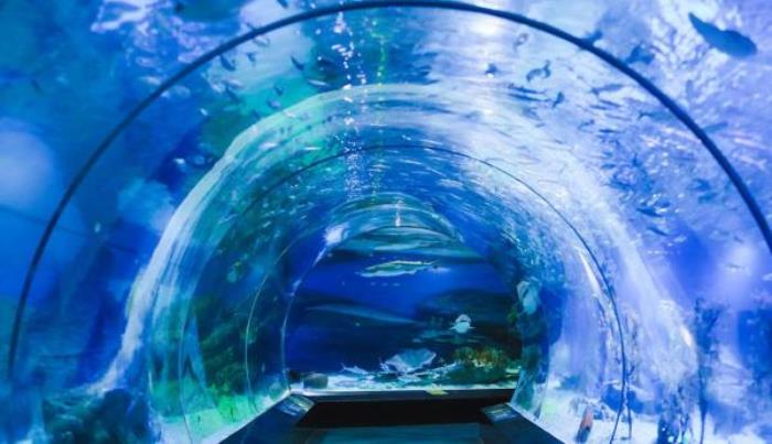 武汉海昌极地海洋公园 武汉海昌极地海洋公园