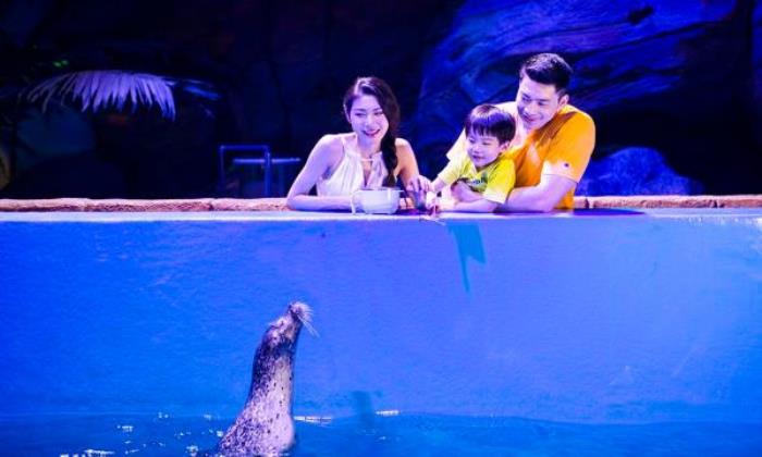 武汉海昌极地海洋公园 武汉海昌极地海洋公园