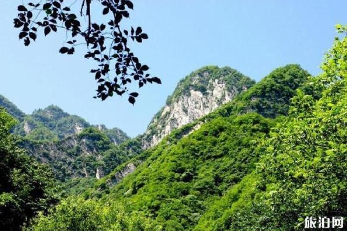 太平国家森林公园 太平国家森林公园