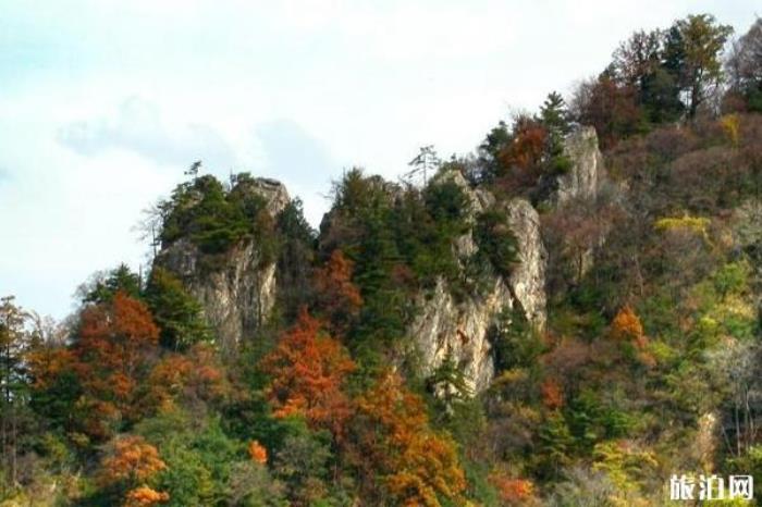 太平国家森林公园 太平国家森林公园