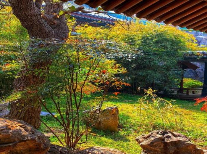 中国唐城 中国唐城