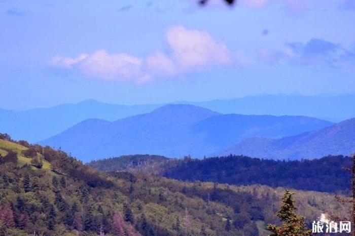 凤凰山国家森林公园 凤凰山国家森林公园