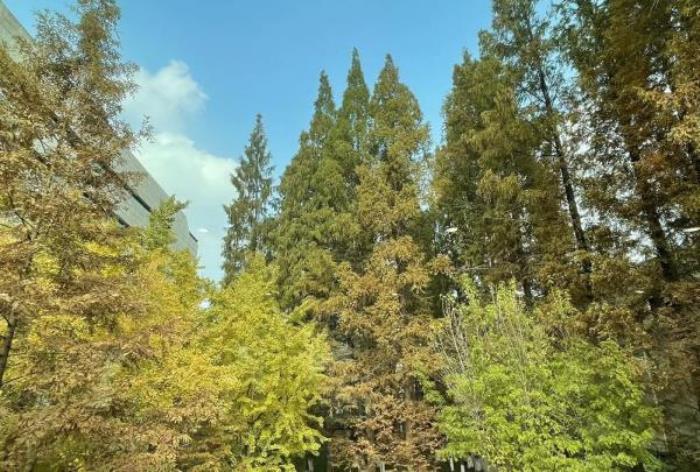 兰溪-地下长河景区 兰溪-地下长河景区