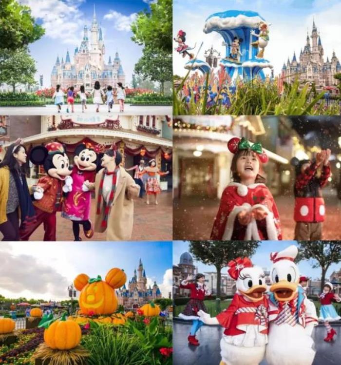 上海迪士尼乐园年卡 上海迪士尼乐园年卡