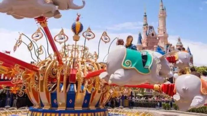 上海迪士尼乐园年卡 上海迪士尼乐园年卡