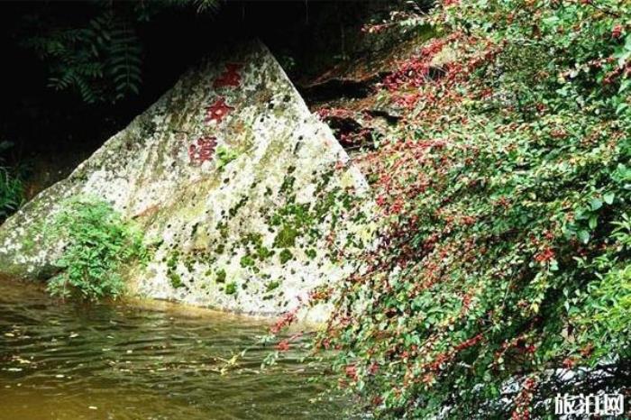 王顺山国家森林公园 王顺山国家森林公园