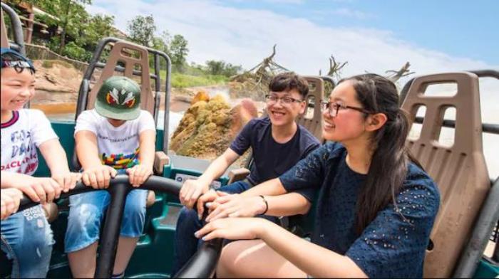 上海迪士尼乐园年卡 上海迪士尼乐园年卡