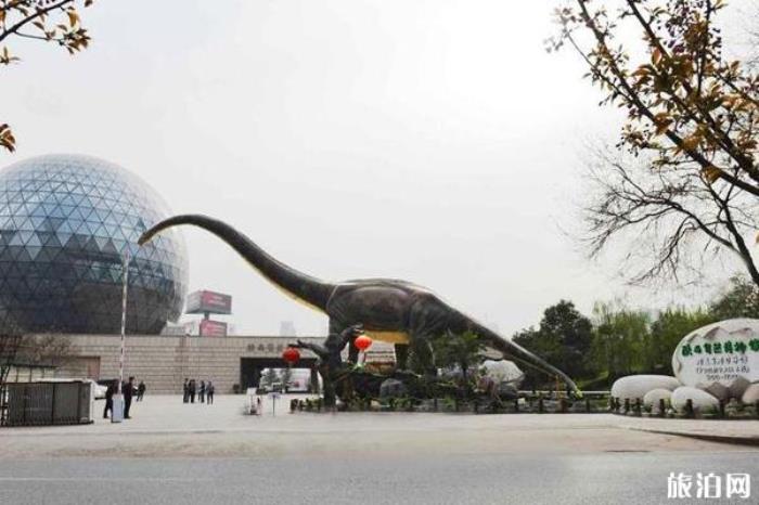 陕西自然博物馆 陕西自然博物馆