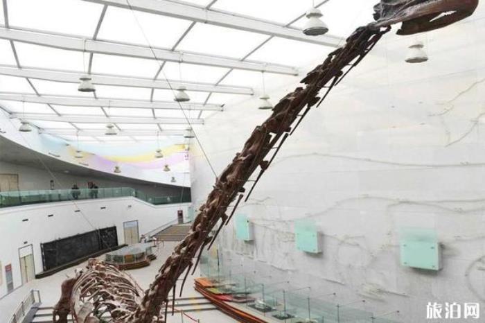 陕西自然博物馆 陕西自然博物馆