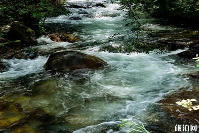 陕西黑河国家森林公园 陕西黑河国家森林公园