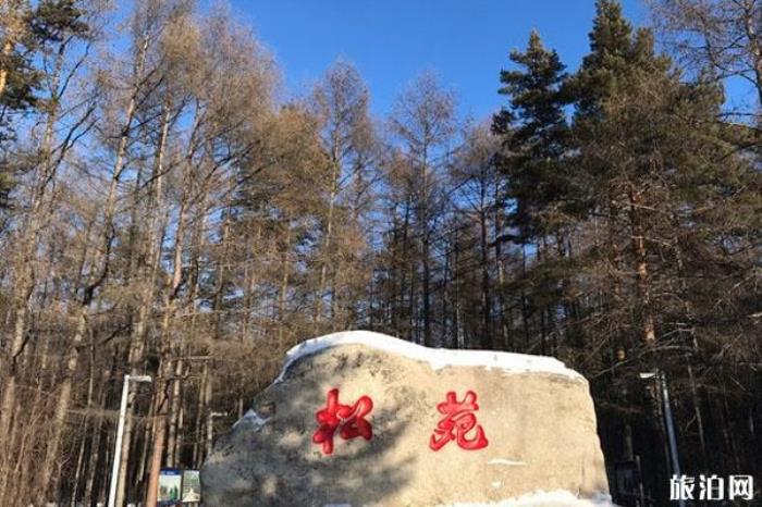 松苑原始森林公园