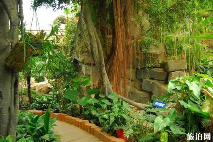 西安曲江海洋馆 西安曲江海洋馆