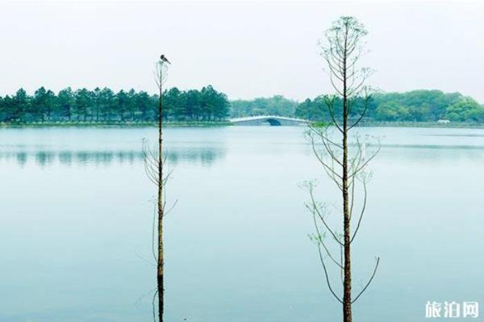 江西凤凰沟风景区 江西凤凰沟风景区