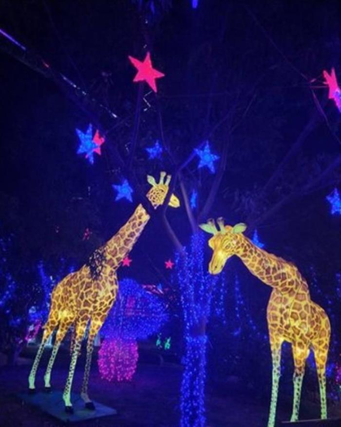 上海锦江乐园 上海锦江乐园