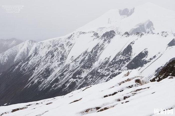 阿尼玛卿雪山 阿尼玛卿雪山