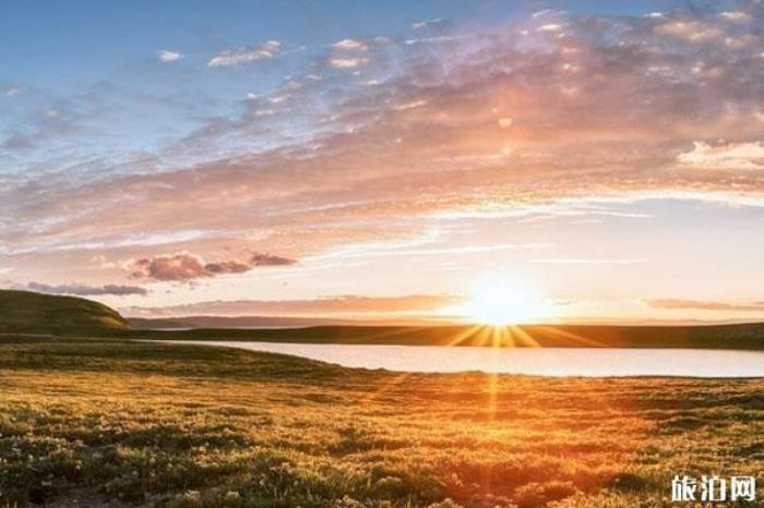 扎陵湖 扎陵湖