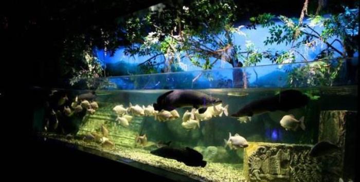 正佳极地海洋世界 正佳极地海洋世界