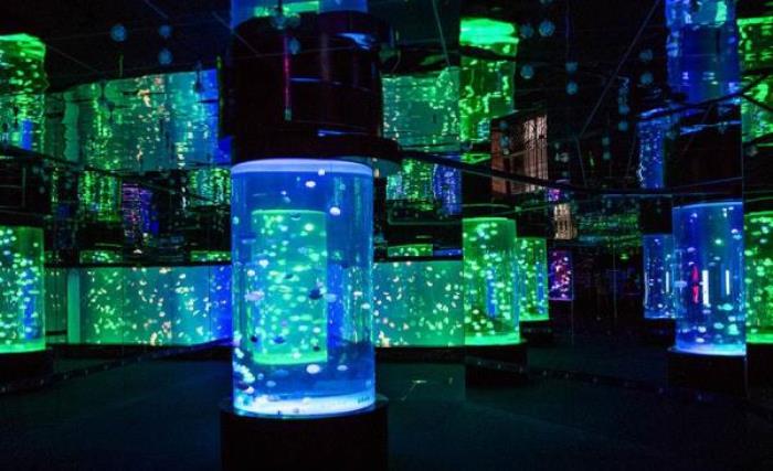 正佳极地海洋世界 正佳极地海洋世界