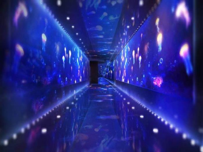 正佳极地海洋世界 正佳极地海洋世界