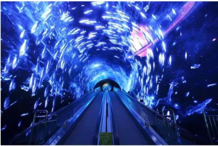 正佳极地海洋世界 正佳极地海洋世界