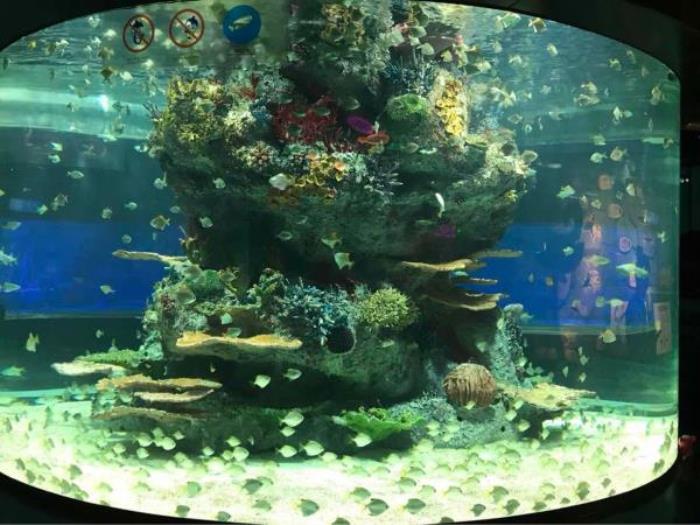 正佳极地海洋世界 正佳极地海洋世界