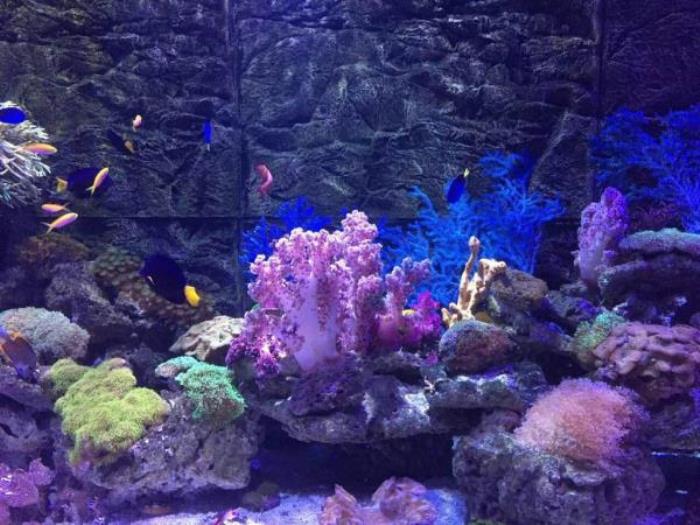 正佳极地海洋世界 正佳极地海洋世界