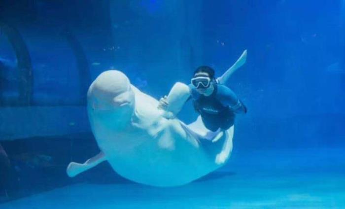 正佳极地海洋世界 正佳极地海洋世界