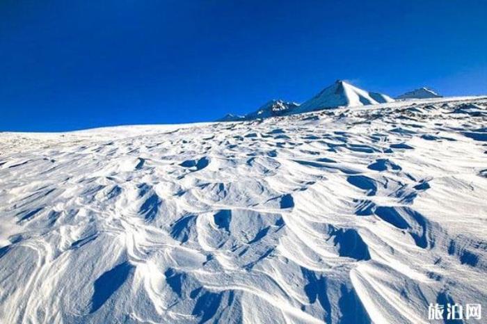 岗什卡雪峰景区 岗什卡雪峰景区
