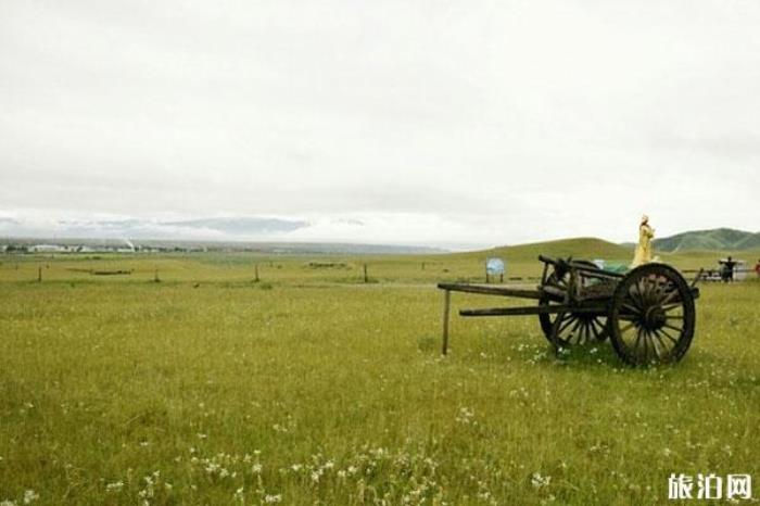 金银滩草原 金银滩草原