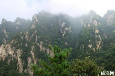 王顺山国家森林公园