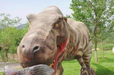 石家庄-西部长青自然儿童乐园