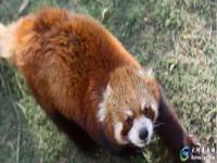 泉州海丝野生动物世界