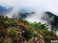 广西猫儿山景区